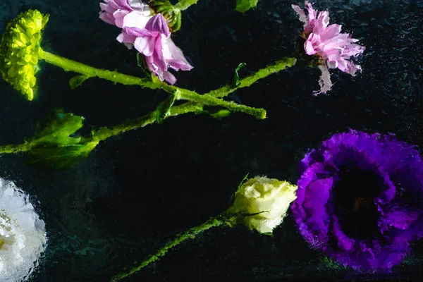 Widok Góry Mokre Różowe Niebieskie Białe Kwiaty Zielony Łodyg Czarnym — Zdjęcie stockowe