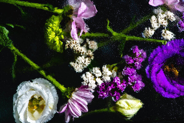 top view of wet pink, blue and white flowers on black 