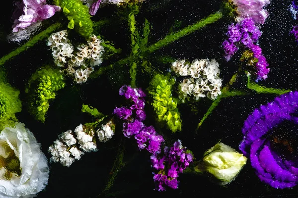 Вид Сверху Красивые Мокрые Цветы Зеленые Стелы Черном — стоковое фото