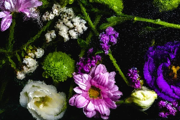 Вид Зверху Красиві Різні Мокрі Квіти Чорному Фоні — стокове фото