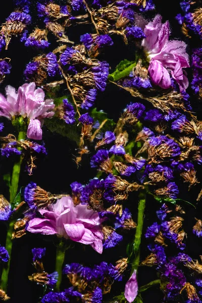 Top View Beautiful Pink Blue Flowers Black — Free Stock Photo