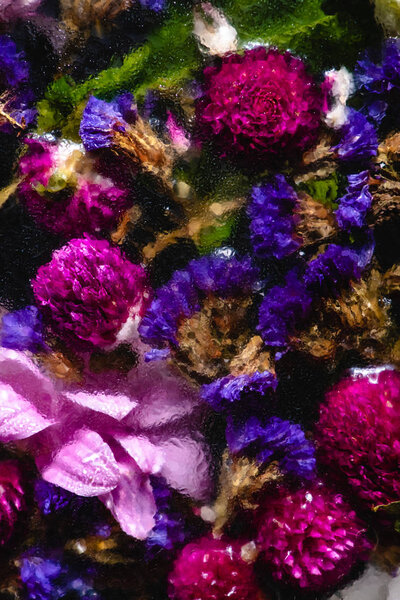 close-up view of beautiful pink and blue flowers in water