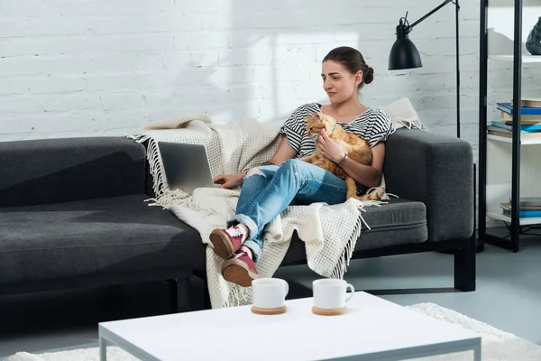 Schönes Mädchen Sitzt Auf Sofa Mit Ingwerkatze Und Laptop Wohnzimmer — Stockfoto