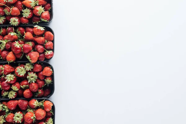 白色桌面上有成熟草莓的集装箱排在空白复制空间的顶部视图 — 免费的图库照片