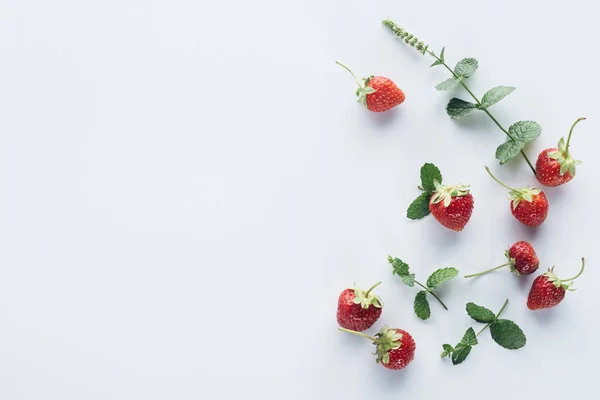 Draufsicht Auf Frische Erdbeeren Mit Minzblättern Auf Weißer Oberfläche — Stockfoto