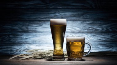ahşap masa, oktoberfest kavramı üzerinde altın bira ve buğday spikelets iki bardak