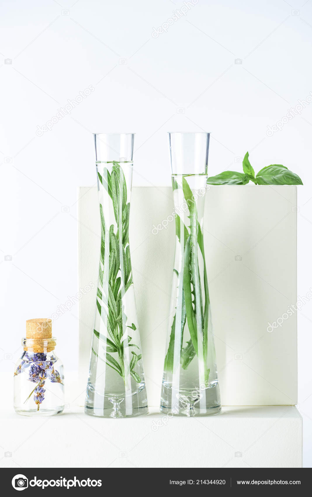 ハーブ写真素材 ロイヤリティフリーハーブ画像 Depositphotos