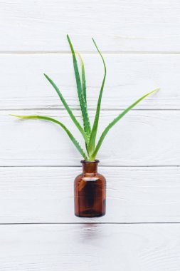 şişe doğal bitkisel uçucu yağ ve aloe vera üstten görünüm üzerinde beyaz ahşap masa 