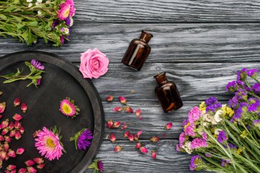 top view of bottles of natural herbal essential oils and pink with violet flowers on wooden surface clipart