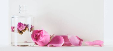 pembe gül beyaz yüzeyi ile doğal bitkisel uçucu yağ şişe
