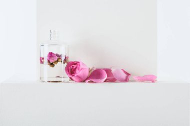 doğal bitkisel uçucu yağ pembe gül beyaz yüzeyi ile şeffaf şişe