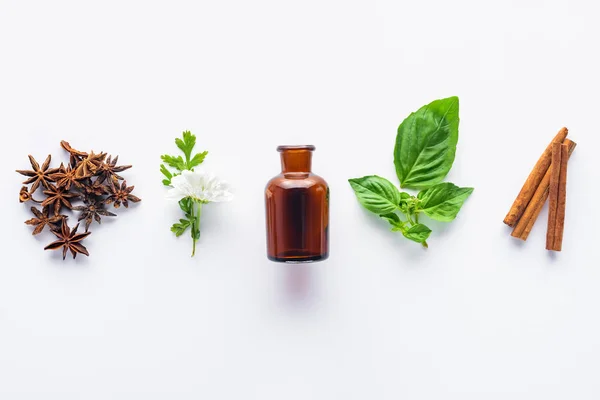 Vista Elevata Bottiglia Olio Essenziale Aromatico Bastoncini Cannella Garofano Foglie — Foto Stock