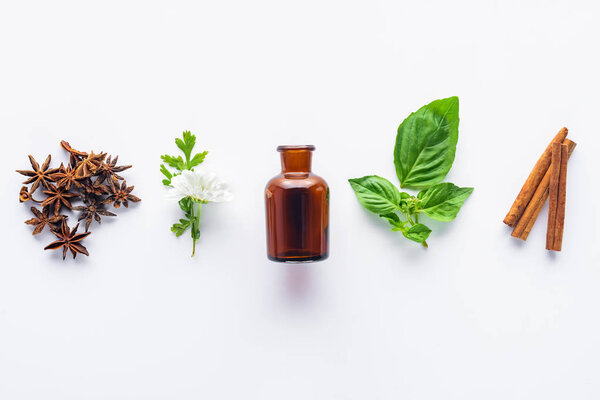 elevated view of bottle of aromatic essential oil, cinnamon sticks, carnation and green leaves isolated on white