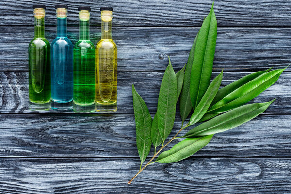 row of colored bottles with natural herbal essential oils and twig with green leaves on wooden surface