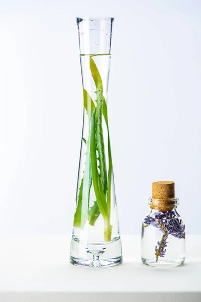 Botella Transparente Jarrón Aceites Esenciales Hierbas Naturales Superficie Blanca — Foto de Stock