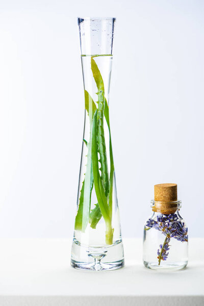 transparent bottle and vase of natural herbal essential oils on white surface