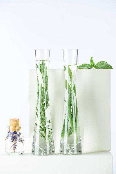 vases and bottle of natural herbal essential oils with herbs and flowers on white surface