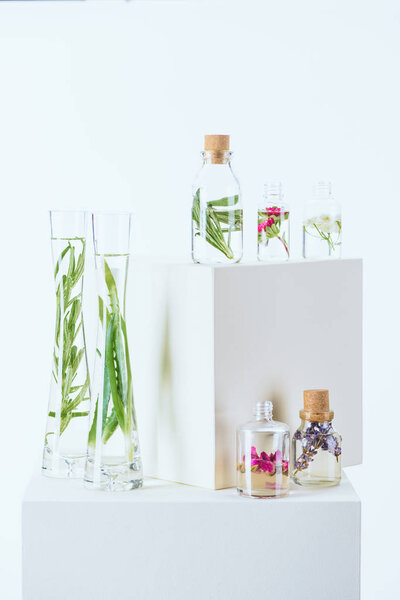 bottles and vases of natural herbal essential oils with herbs and flowers on white cubes
