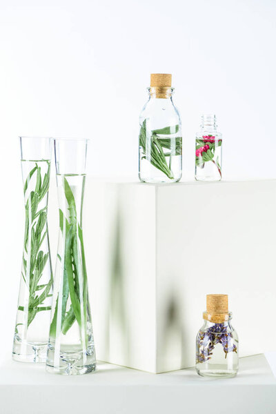 bottles and vases of natural herbal essential oils with aloe vera and flowers on white cubes