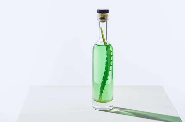 Botella Transparente Aceite Esencial Hierbas Naturales Con Aloe Vera Cubo — Foto de stock gratuita