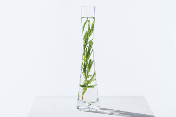 one transparent vase of natural herbal essential oil with twigs on white surface