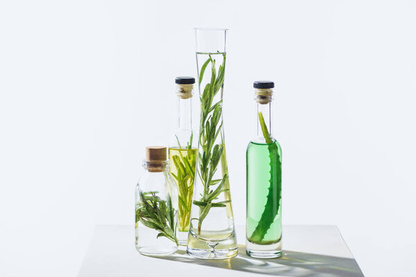 glass bottles of natural herbal essential oils with twigs on white surface