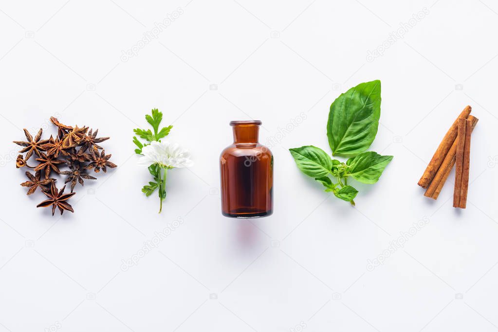 elevated view of bottle of aromatic essential oil, cinnamon sticks, carnation and green leaves isolated on white