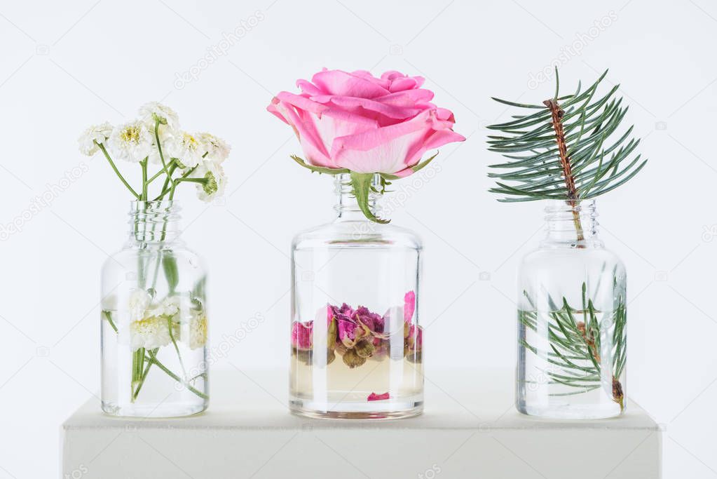 transparent bottles of natural herbal essential oils with chamomile flowers, roses and fir twig on white cube