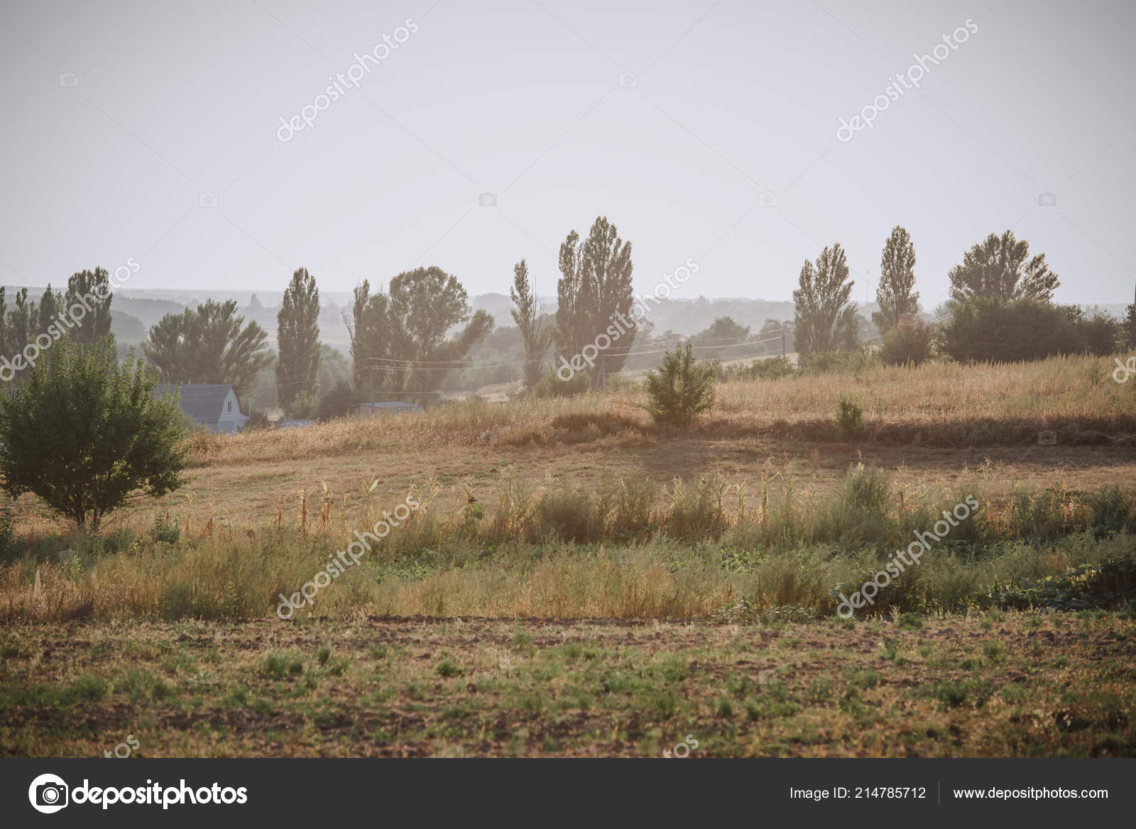 2 2 435 Countryside Stock Photos Images Download Countryside Pictures On Depositphotos