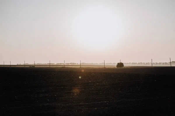 Schilderachtig Uitzicht Veld Elektrische Torens Tijdens Zonsondergang Platteland — Stockfoto