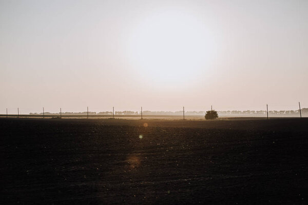 scenic view of field and electric towers during sunset in countryside 