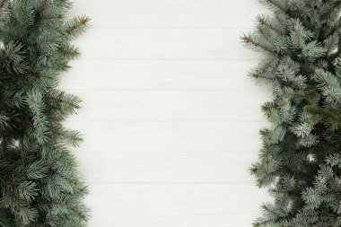 top view of beautiful evergreen fir twigs on white wooden background      clipart