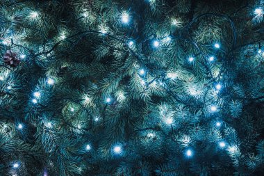 beautiful fir twigs with illuminated garland, christmas background clipart