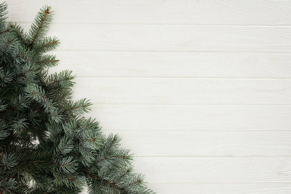 top view of beautiful green fir twigs on white wooden background      