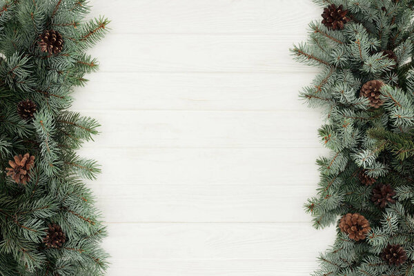 top view of beautiful evergreen fir twigs with pine cones on white wooden background    