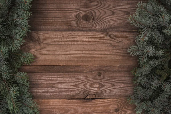Pohled Shora Krásné Stálezelených Jehličnatých Větví Dřevěné Pozadí — Stock fotografie