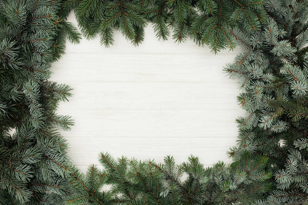 top view of beautiful evergreen fir twigs on white wooden background 