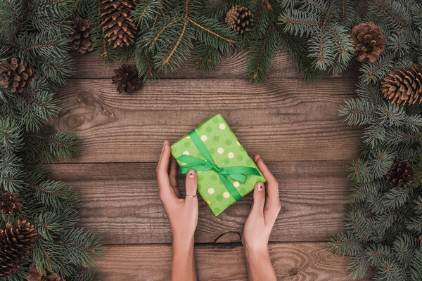 partial top view of person holding christmas present above wooden surface with coniferous branches and pine cones