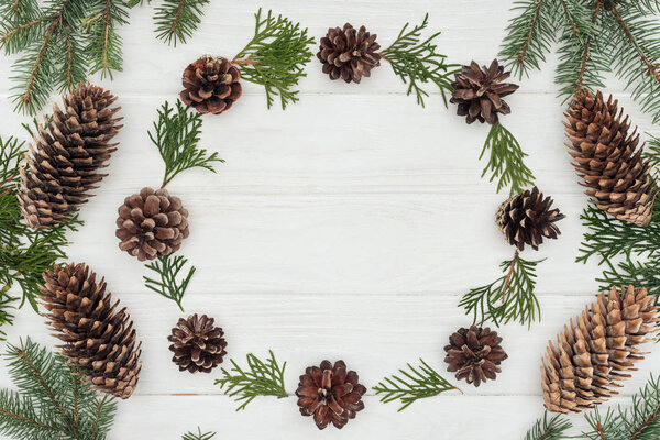beautiful evergreen coniferous twigs and pine cones on white wooden background  