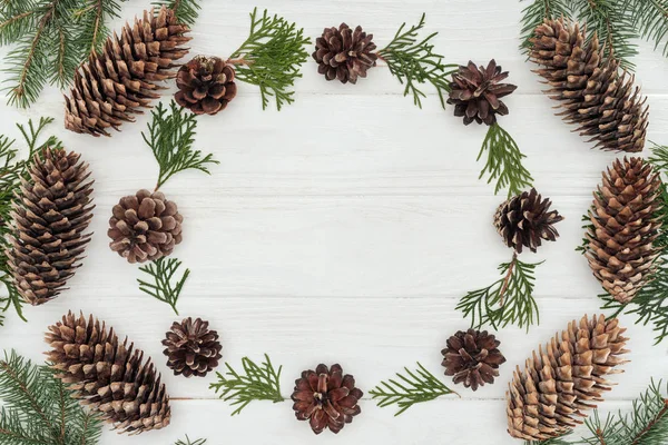 Top View Evergreen Coniferous Twigs Pine Cones White Wooden Background — Stock Photo, Image