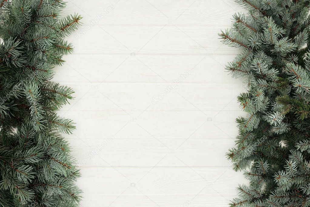 top view of beautiful evergreen fir twigs on white wooden background     