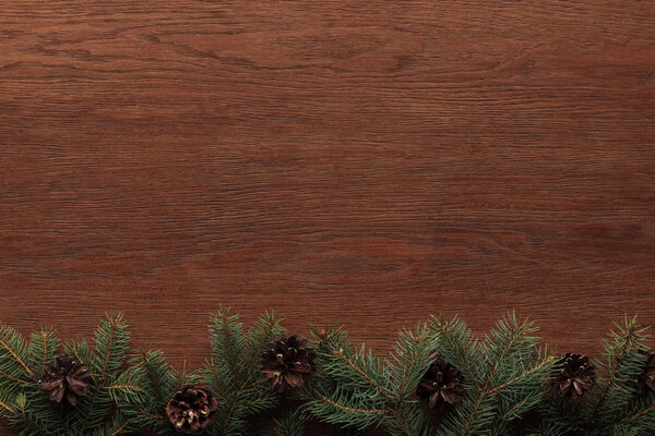 top view of evergreen fir trees and pine cones on wooden background