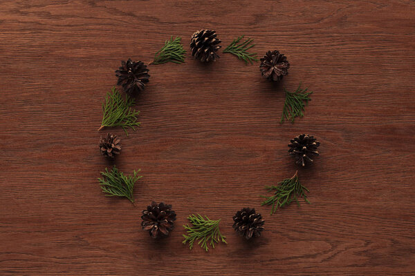 beautiful evergreen coniferous twigs and pine cones on wooden background 