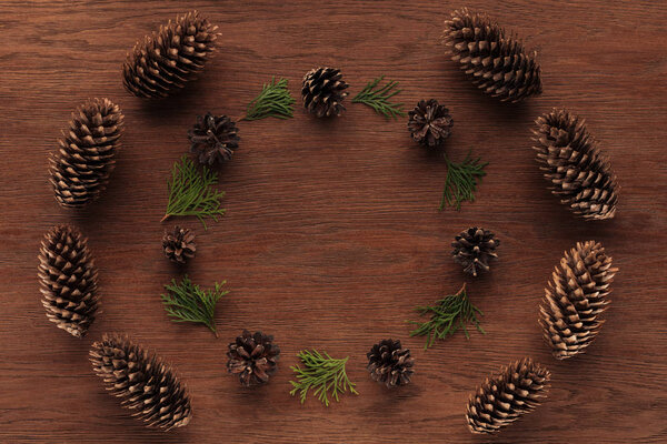 top view of beautiful evergreen coniferous twigs and pine cones on wooden background 