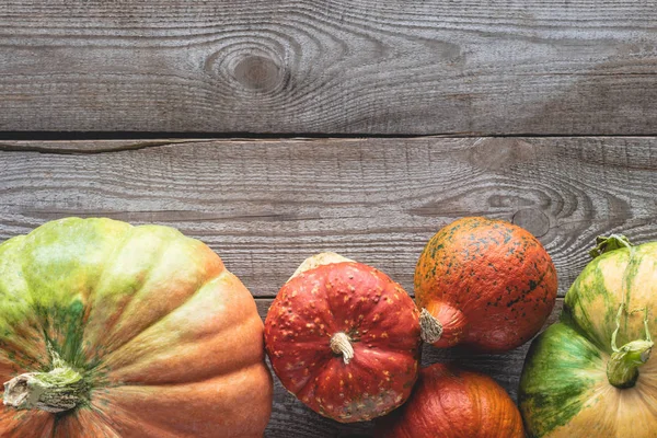 Bovenaanzicht Van Rijpe Herfst Pumpkins Grijs Houten Tafelblad — Stockfoto