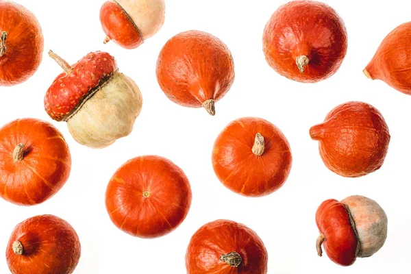 Bovenaanzicht Van Verspreide Rijp Pumpkins Geïsoleerd Wit — Stockfoto