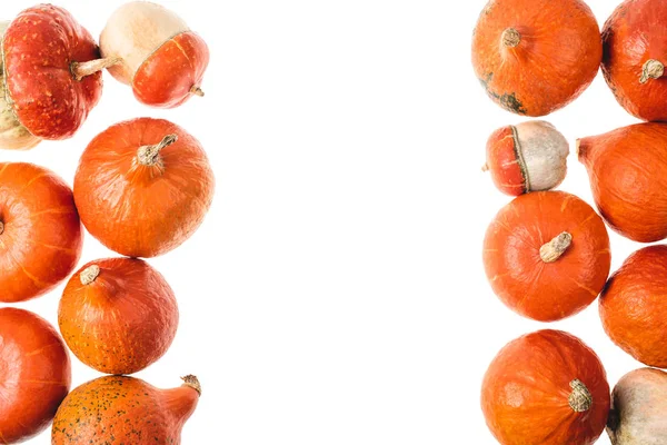 Top View Autumnal Orange Pumpkins Isolated White — Free Stock Photo