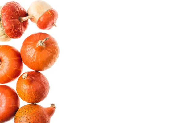 Verhoogde Weergave Van Herfst Rijp Oranje Pompoenen Geïsoleerd Wit — Gratis stockfoto