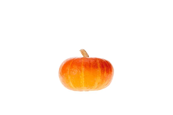 One Orange Autumnal Pumpkin Isolated White — Free Stock Photo