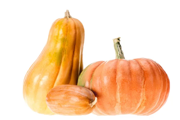 Drei Reife Gelbe Und Orangefarbene Herbstkürbisse Isoliert Auf Weiß — Stockfoto